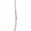 SG RSD Xtreme English Willow Cricket Bat1