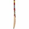 SG SR-210 English Willow Cricket Bat1