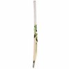 SG Savage Plus Kashmir Willow Cricket Bat1