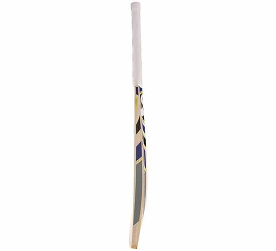 SG Sierra Plus Kashmir Willow Cricket Bat1
