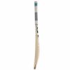SG T-45 Limited Edition English Willow Cricket Bat1