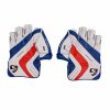 SG Test Wicket Keeping Gloves