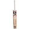SG VS-319 Plus Kashmir Willow Cricket Bat