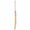SG VS-319 Plus Kashmir Willow Cricket Bat1