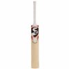 SG VS-319 Plus Kashmir Willow Cricket Bat2