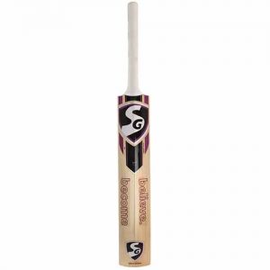 SG VS-319 Spark Kashmir Willow Cricket Bat