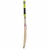SG VS 319 Xtreme English Willow Cricket Bat1