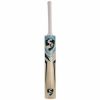 SG Valor Kashmir Willow Cricket Bat