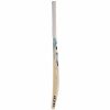 SG Valor Kashmir Willow Cricket Bat1