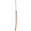 SG Ventura Kashmir Willow Cricket Bat1