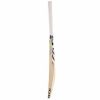 SG Verto Kashmir Willow Cricket Bat1