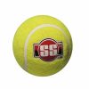 SS Ball Soft Pro Tennis Ball (Heavy)