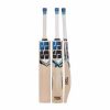 SS Blast English Willow Cricket Bat