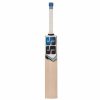 SS Blast English Willow Cricket Bat2