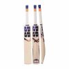 SS Cannon Kashmir Willow Cricket Bat