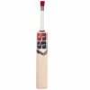 SS Gutsy Kashmir Willow Cricket Bat2