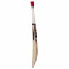 SS Gutsy Kashmir Willow Cricket Bat3