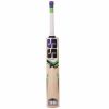 SS Magnet Kashmir Willow Cricket Bat1