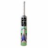 SS Master 100 Kashmir Willow Cricket Bat1