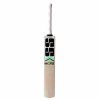 SS Master 100 Kashmir Willow Cricket Bat2