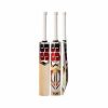 SS Master English Willow Cricket Bat