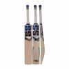 SS Premium English Willow Cricket Bat