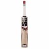 SS Ranger Kashmir Willow Cricket Bat1