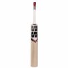 SS Ranger Kashmir Willow Cricket Bat2