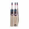 SS Soft Pro Kashmir Willow Cricket Bat
