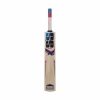 SS Soft Pro Kashmir Willow Cricket Bat1