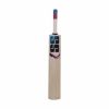 SS Soft Pro Kashmir Willow Cricket Bat2