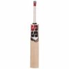 SS Supemo English Willow Cricket Bat2