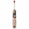 SS Super Sixes Kashmir Willow Cricket Bat1