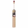 SS Super Sixes Kashmir Willow Cricket Bat2