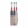 SS T20 Champion Kashmir Willow Cricket Bat