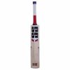 SS T20 Champion Kashmir Willow Cricket Bat1
