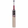 SS T20 Champion Kashmir Willow Cricket Bat2