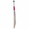 SS T20 Champion Kashmir Willow Cricket Bat3