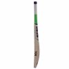 SS T20 Legend English Willow Cricket Bat3