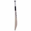 SS T20 Players English Willow Cricket Bat3