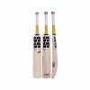 SS T20 Power English Willow Cricket Bat