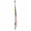 SS T20 Power English Willow Cricket Bat3