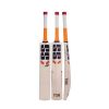 SS T20 Premium English Willow Cricket Bat