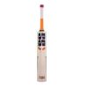 SS T20 Premium English Willow Cricket Bat1