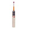 SS T20 Premium English Willow Cricket Bat2