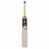 SS T20 Storm English Willow Cricket Bat3