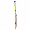 SS T20 Storm English Willow Cricket Bat4