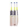 SS T20 Storm Kashmir Willow Cricket Bat