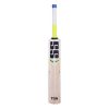 SS T20 Storm Kashmir Willow Cricket Bat1