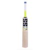 SS T20 Storm Kashmir Willow Cricket Bat2